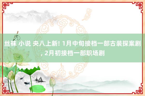 丝袜 小说 央八上新! 1月中旬接档一部古装探案剧， 2月初接档一部职场剧