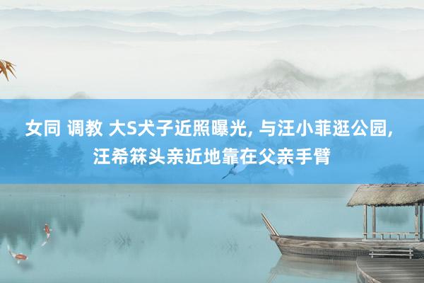 女同 调教 大S犬子近照曝光， 与汪小菲逛公园， 汪希箖头亲近地靠在父亲手臂