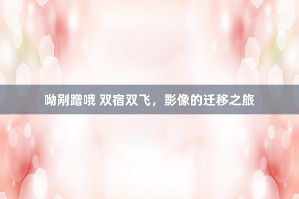 呦剐蹭哦 双宿双飞，影像的迁移之旅